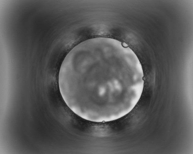 X0000086230415200704051201