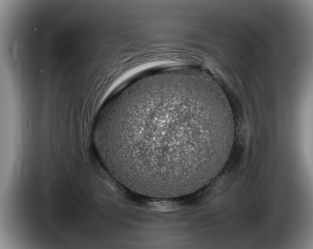 X0000086230417200704051201