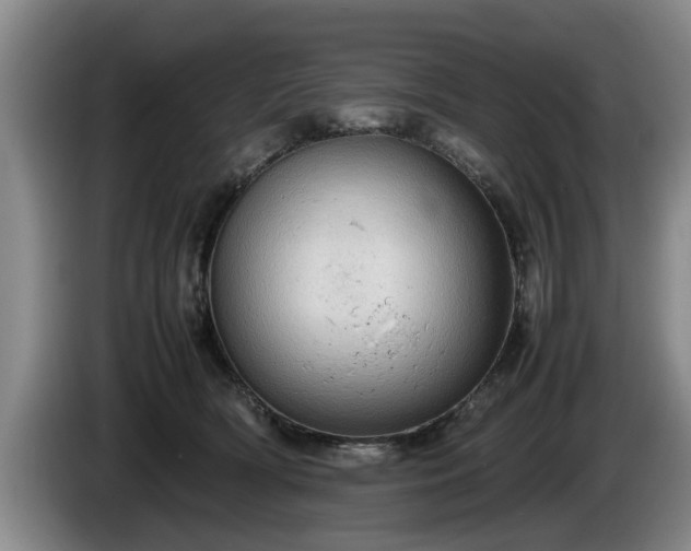 X0000086230418200704051201