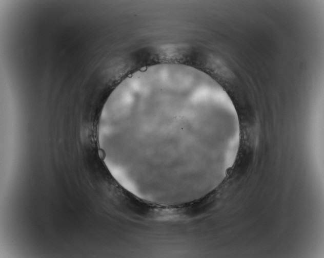 X0000086230419200704051201