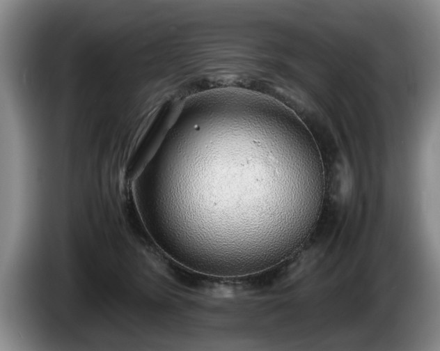 X0000086230420200704051201