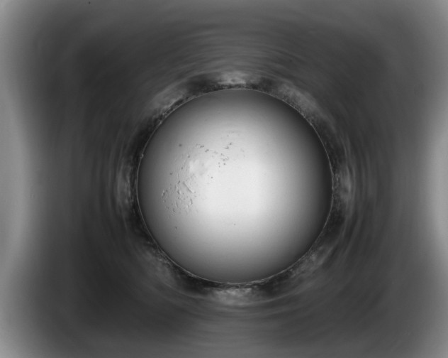 X0000086230422200704051201