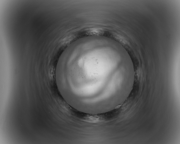 X0000086230423200704051201