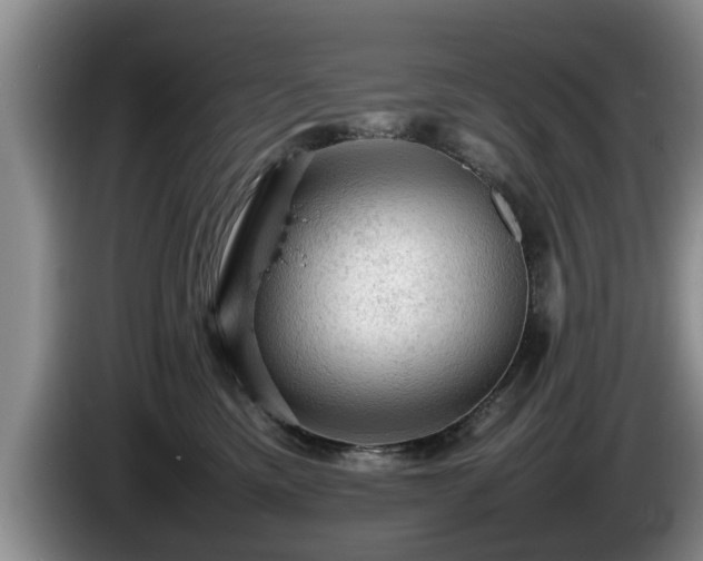 X0000086230425200704051201