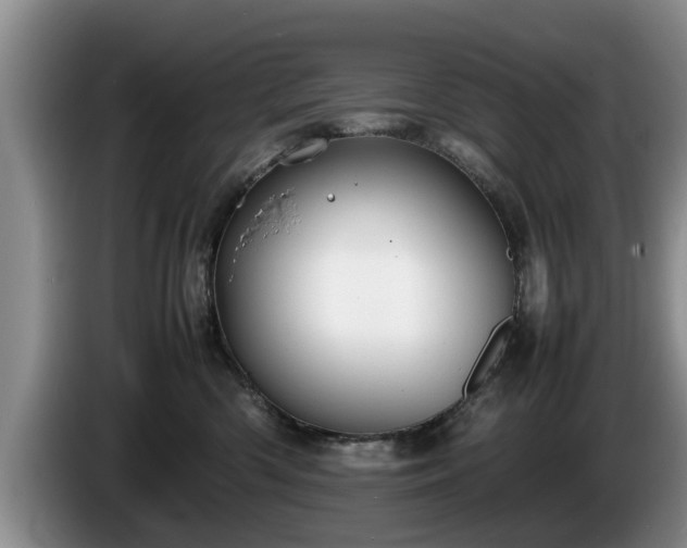 X0000086230426200704051201