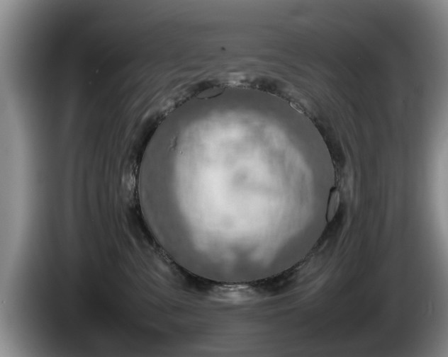 X0000086230427200704051201