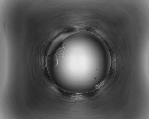 X0000086230428200704051201