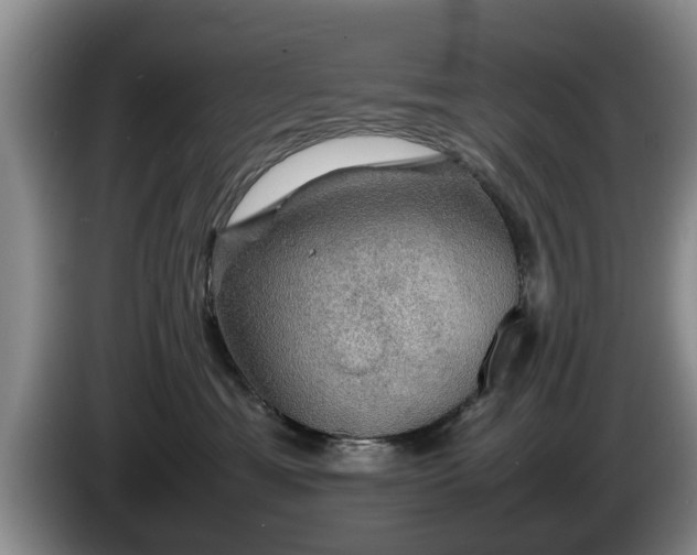 X0000086230429200704051201