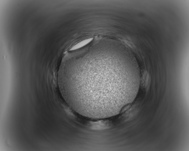 X0000086230430200704051201