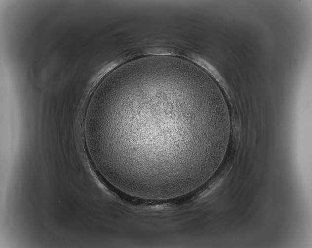 X0000086230433200704051200