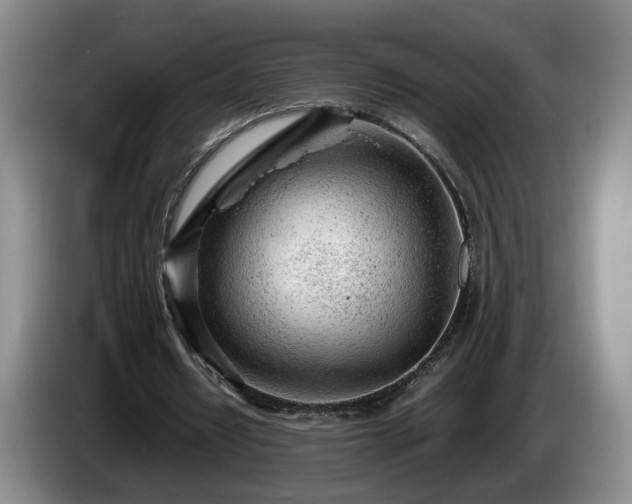 X0000086230434200704051200