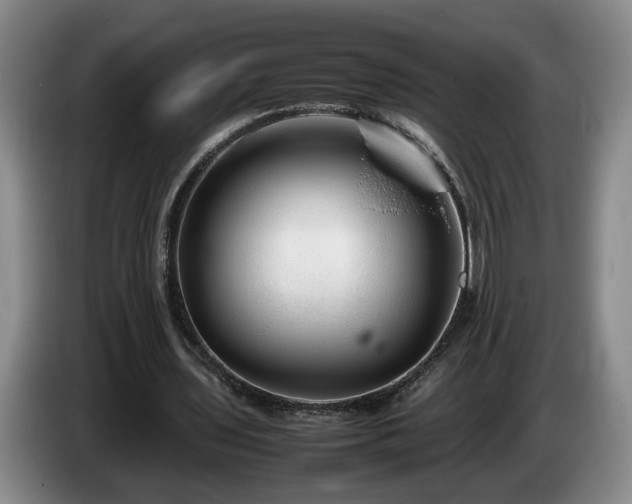 X0000086230435200704051200