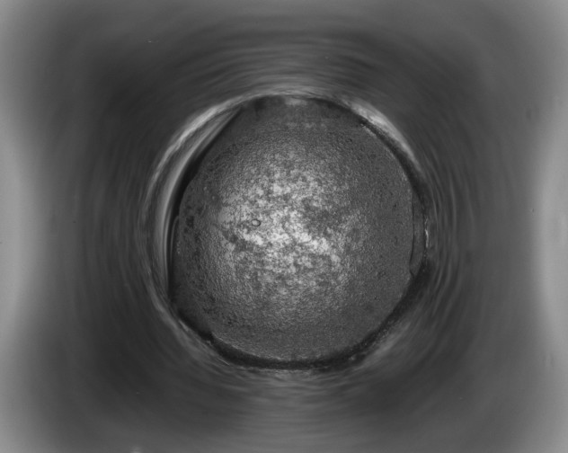 X0000086230436200704051200