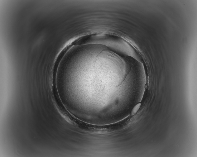 X0000086230438200704051200