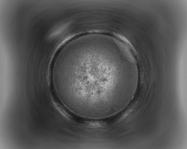 X0000086230439200704051200