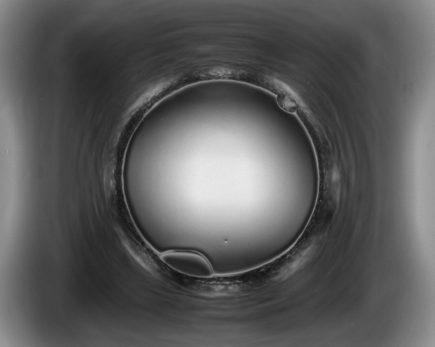 X0000086230443200704051200