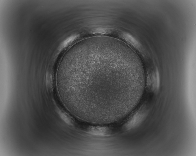 X0000086230444200704051200