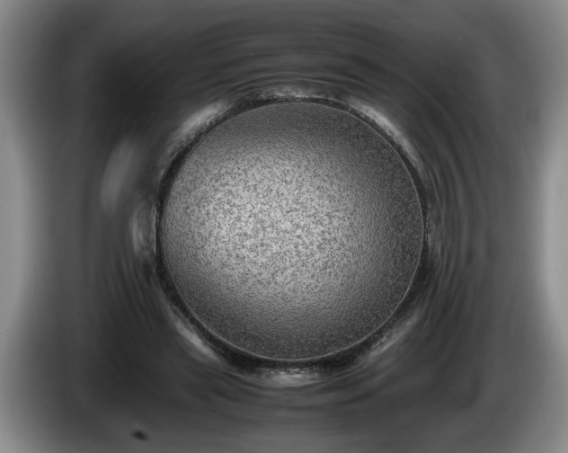 X0000086230445200704051200