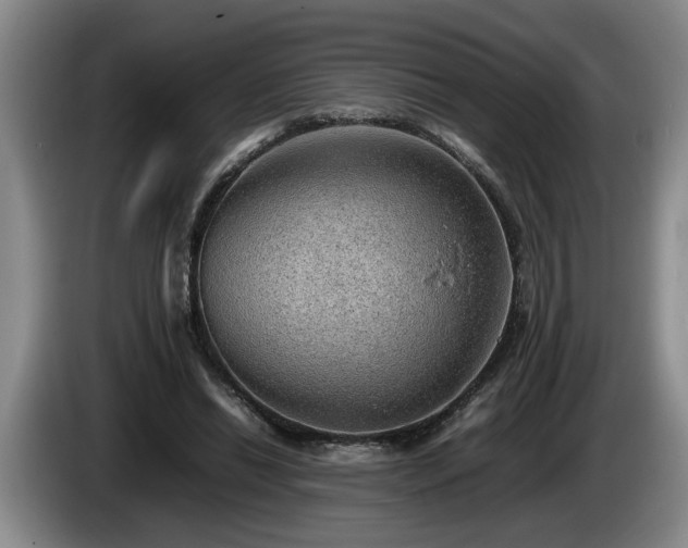 X0000086230446200704051200