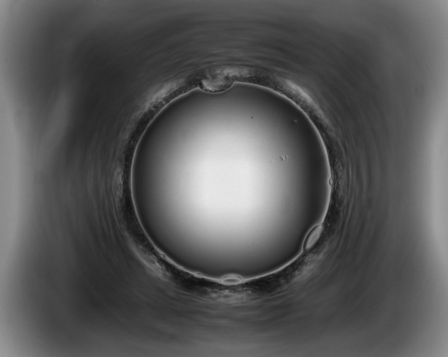 X0000086230447200704051200