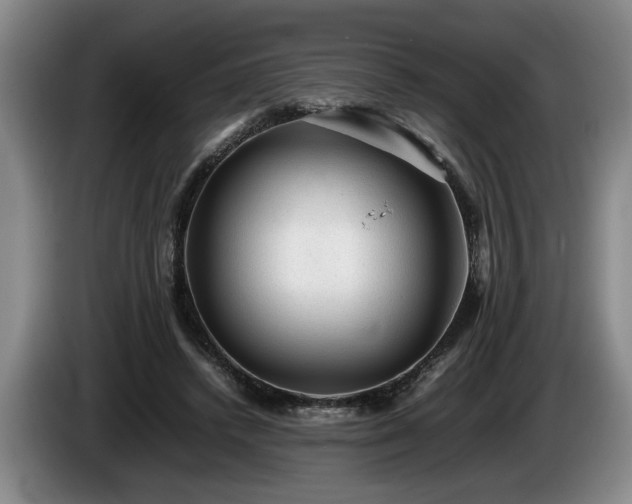 X0000086230448200704051200