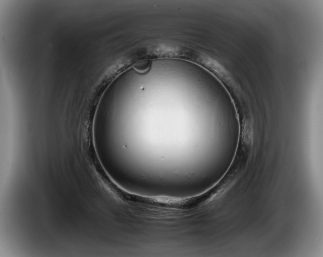 X0000086230449200704051200