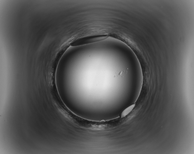 X0000086230450200704051200