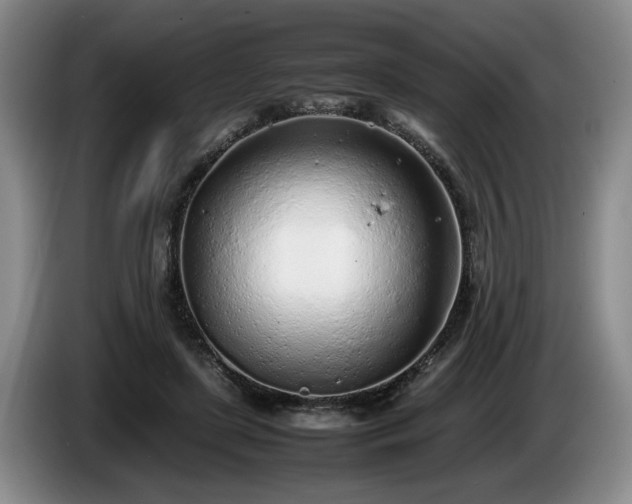 X0000086230451200704051200