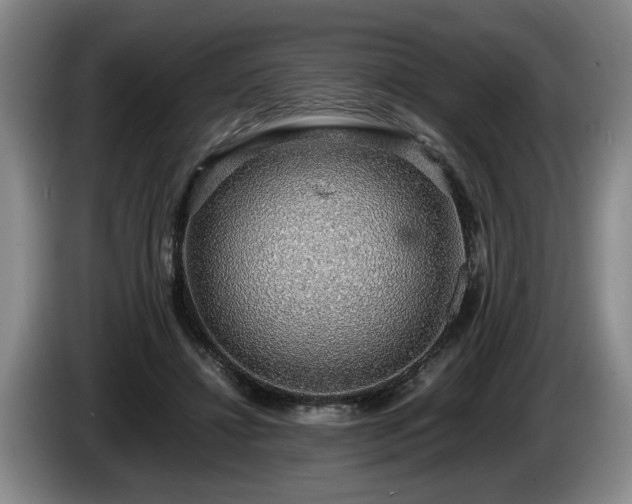 X0000086230452200704051200