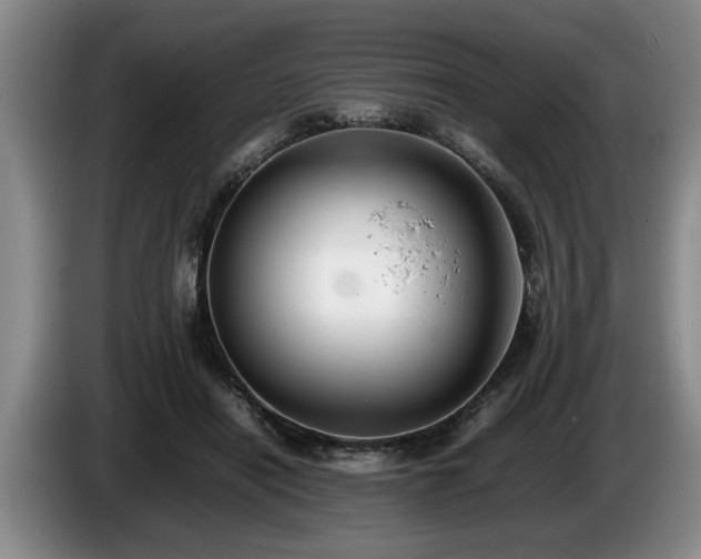 X0000086230454200704051200