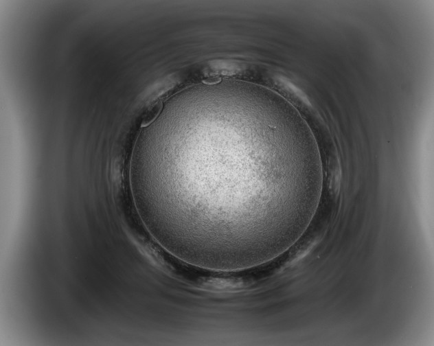 X0000086230455200704051200