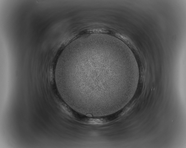 X0000086230457200704051200