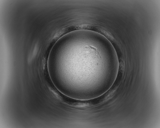 X0000086230458200704051200