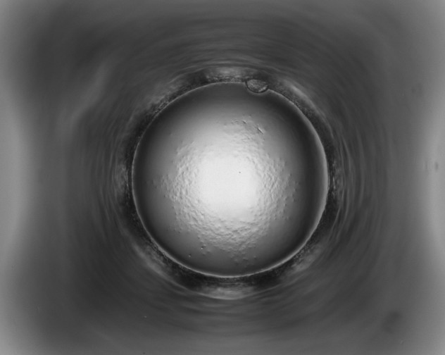 X0000086230459200704051200