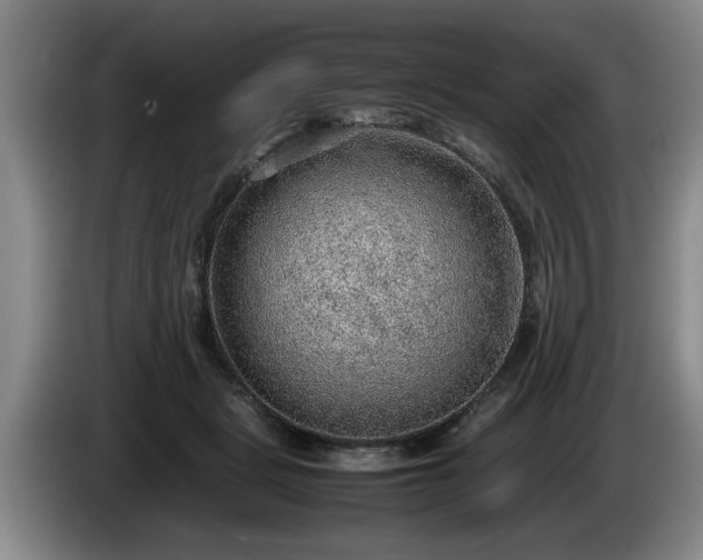 X0000086230461200704051200