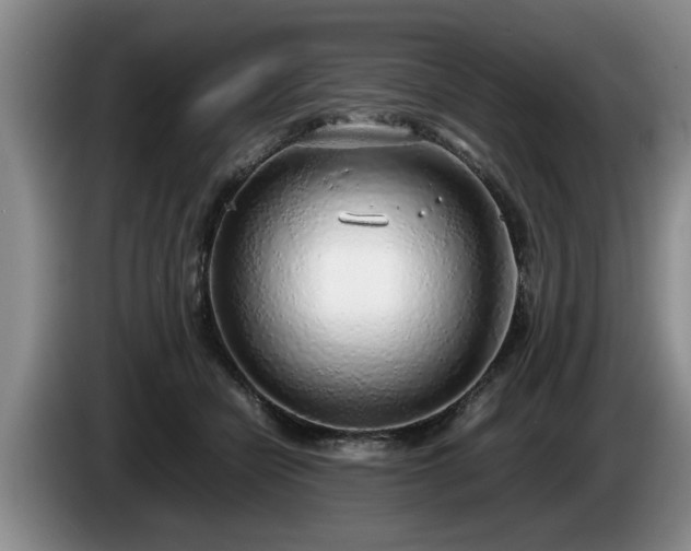 X0000086230462200704051200