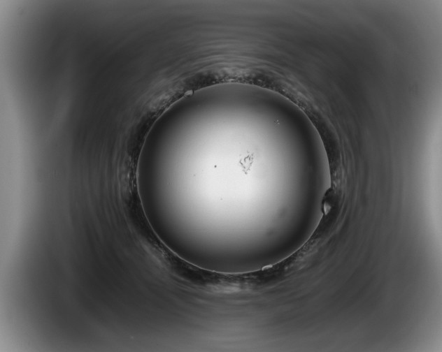 X0000086230464200704051200