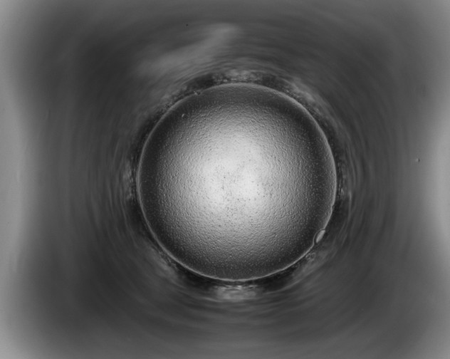 X0000086230465200704051200