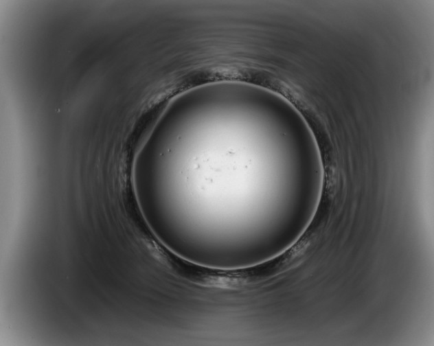 X0000086230466200704051200