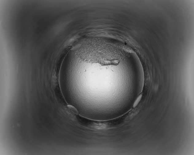 X0000086230469200704051200