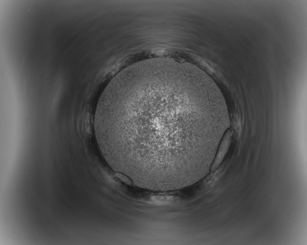 X0000086230470200704051200