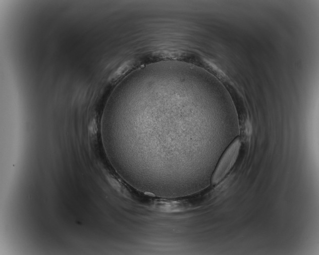 X0000086230472200704051200