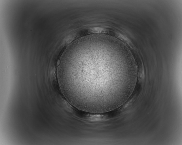 X0000086230473200704051200