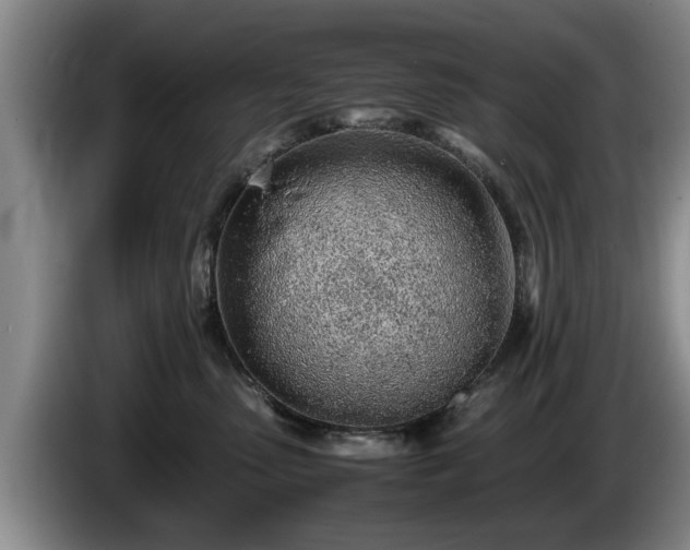 X0000086230475200704051200