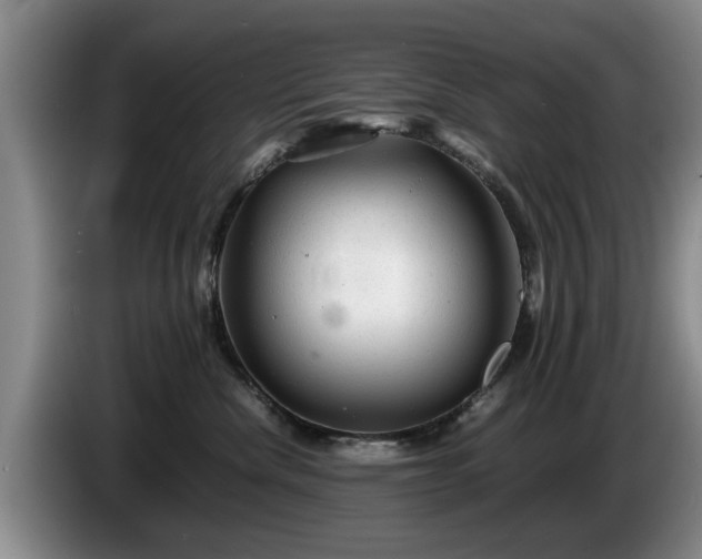 X0000086230476200704051200