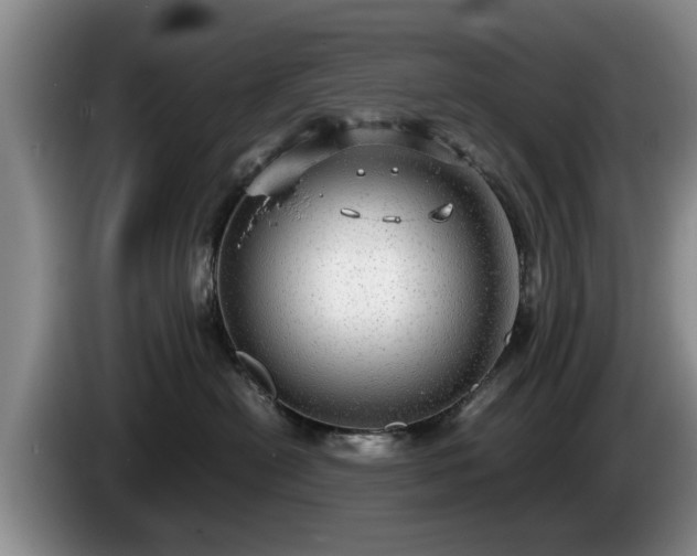 X0000086230478200704051200