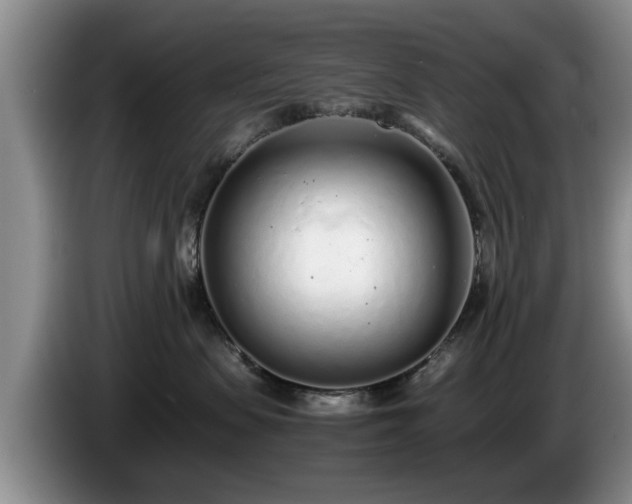 X0000086230479200704051200