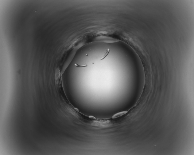 X0000086230480200704051201