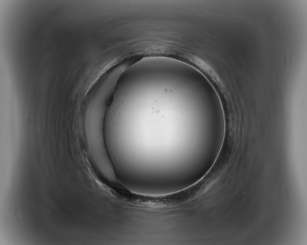 X0000086230481200704051200