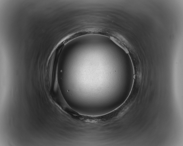 X0000086230484200704051200